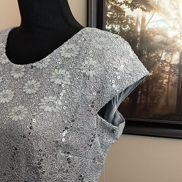 NWT Alex Evenings Dress Dove Gray‎ Silver - Gray Formal Dress - Picture 5 of 16